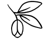 Arganolja