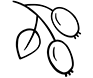 Nyponolja