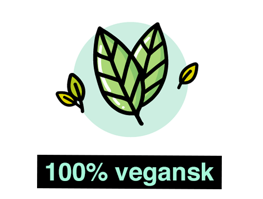 100% vegan